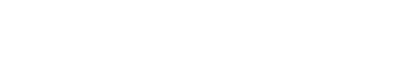Netsurge Technologies Logo - White